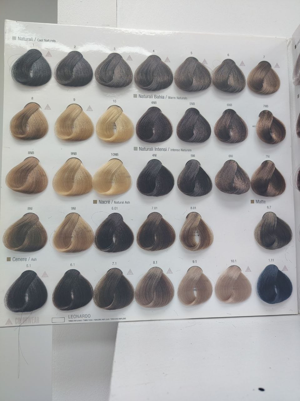 Cartilla de color profesional - tonos naturales y cenizos