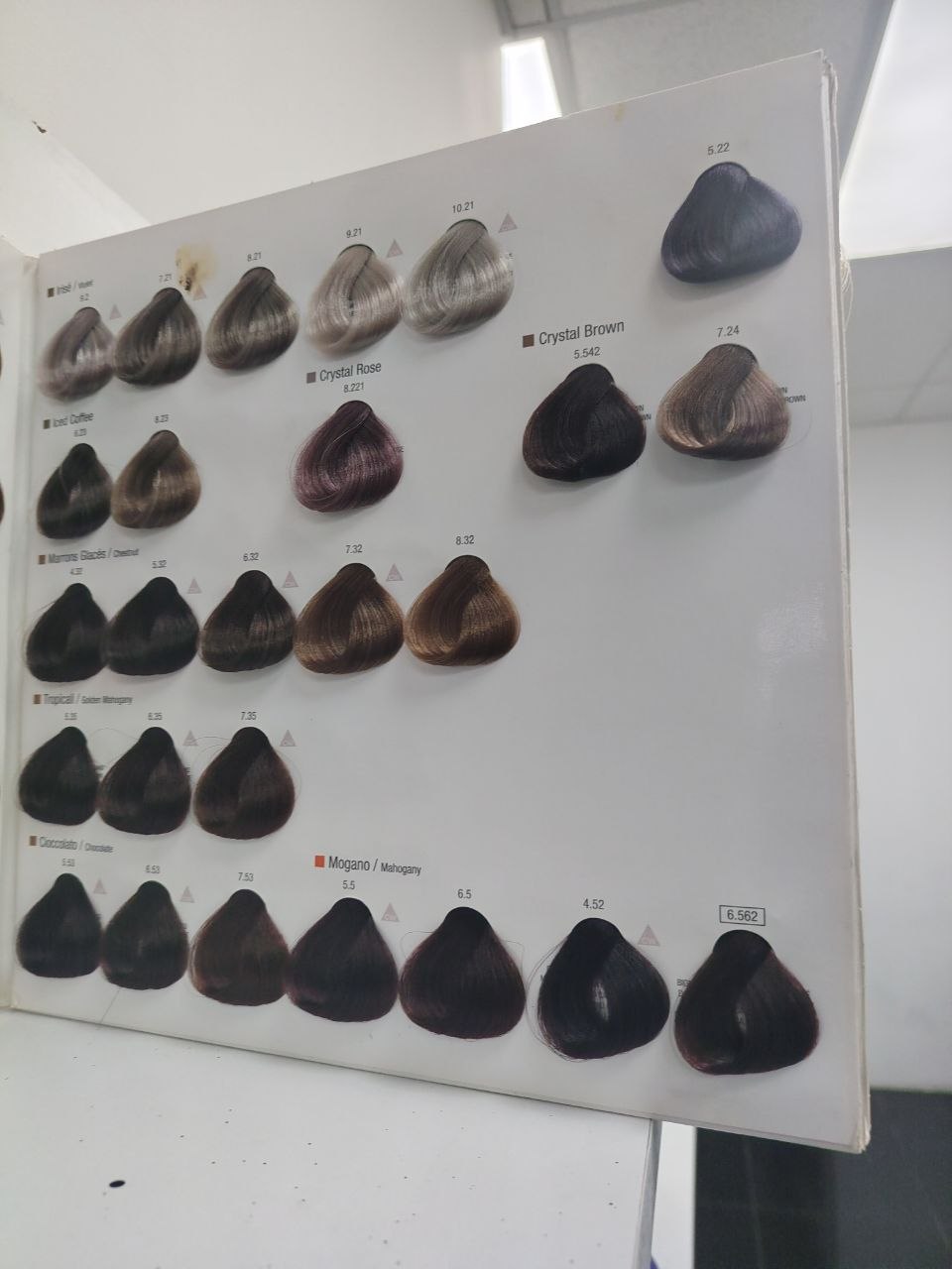 Cartilla de color profesional - tonos violeta y chocolate